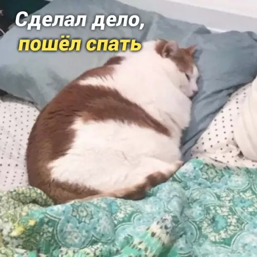 продолжение Смешная картинка №657200 Myдpocть дня: