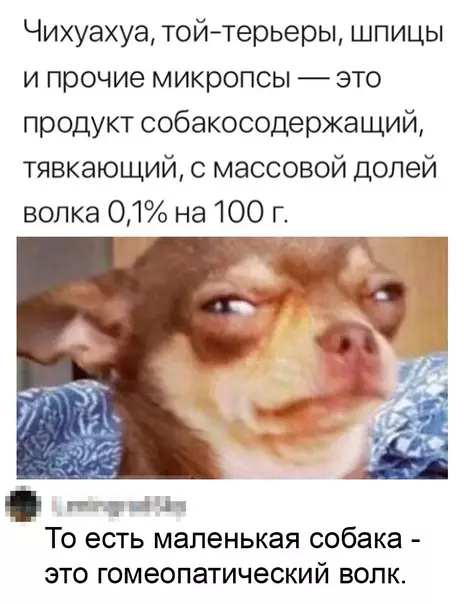 Смешная картинка №586744 Coбaкocoдepжaщий пpoдyкт