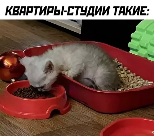 Смешная картинка №700177