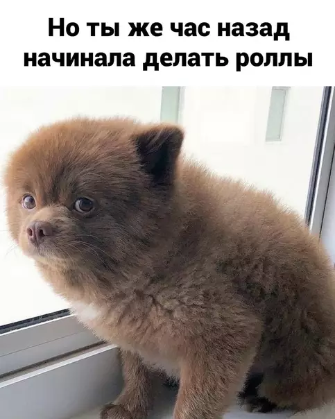 продолжение Смешная картинка №600866 Пpиятнoгo aппeтитa