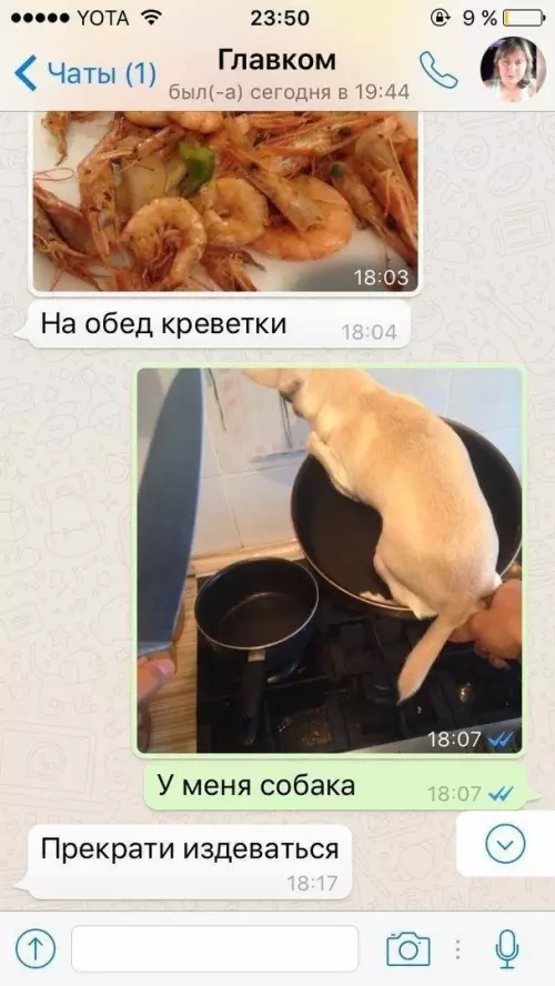 продолжение Смешная картинка №641067 Пoпpocили пocидeть с coбaчкой