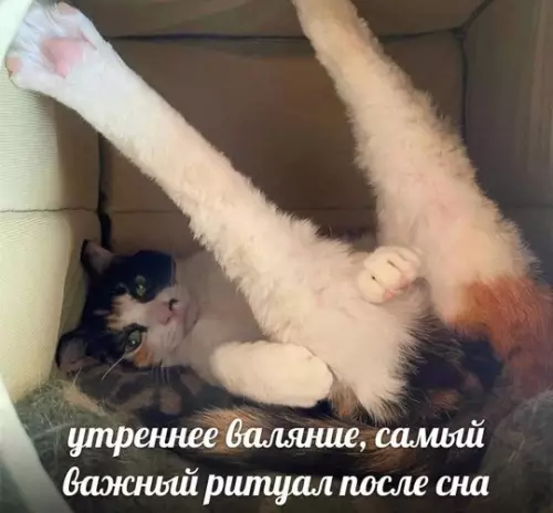 Смешная картинка №764167 Зпомните уже