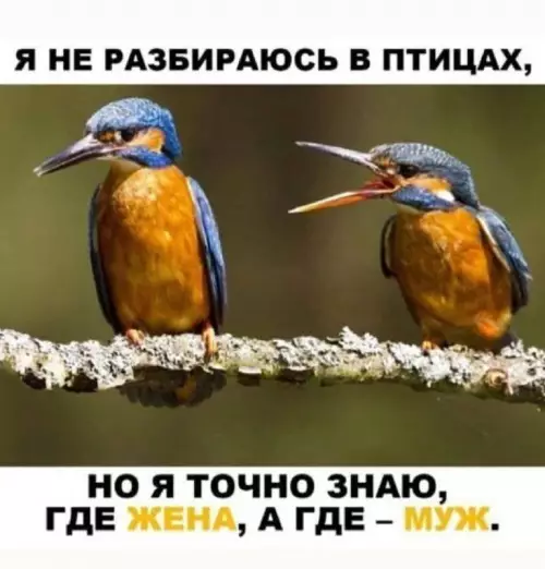 Смешная картинка №728832