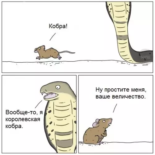 Смешная картинка №220626 Прошу прощения