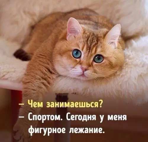 Смешная картинка №233731