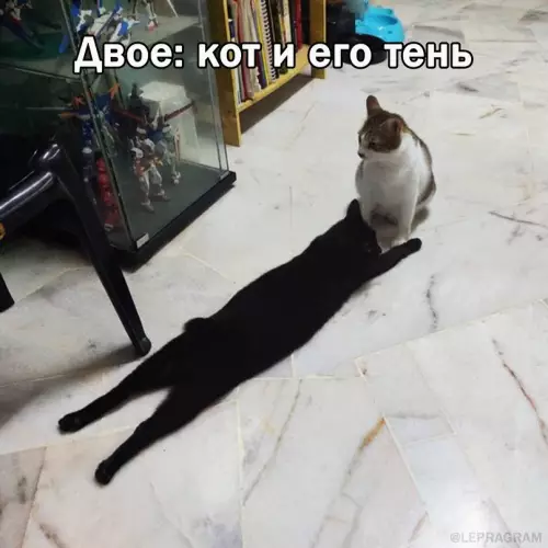 Смешная картинка №665893