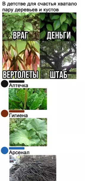 Смешная картинка №539095 прям как в детство вернулся