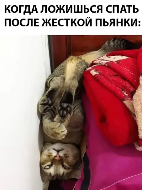 Смешная картинка №291086