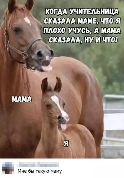 Смешная картинка №355427