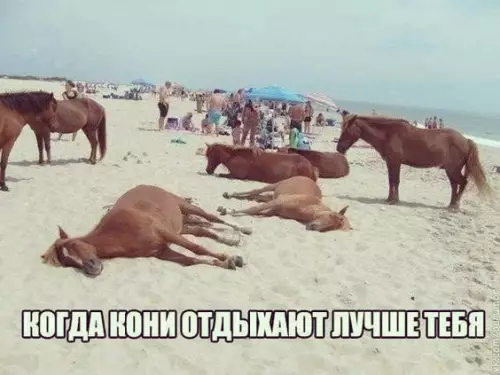 Смешная картинка №292911