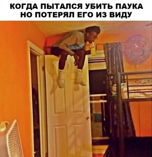 Смешная картинка №294446