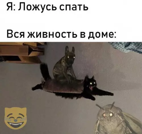 Смешная картинка №336717 #приколы #картинки #мемы ?