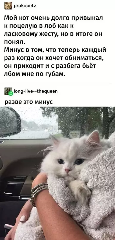 Смешная картинка №696014