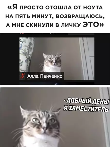 Смешная картинка №549481