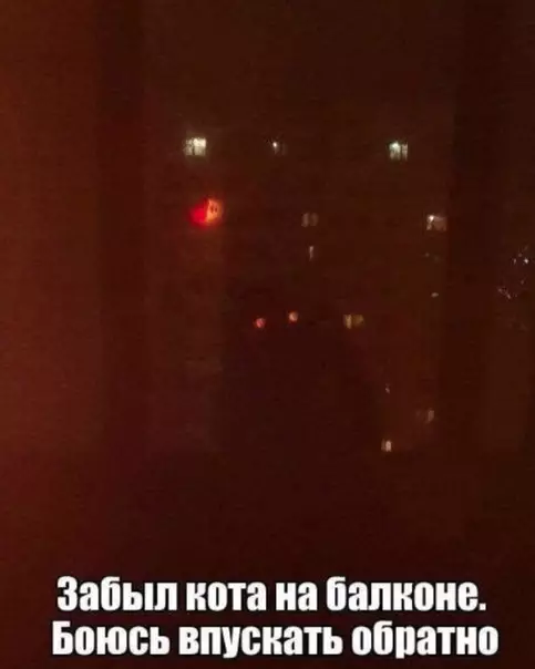Смешная картинка №472489 Стремное животное