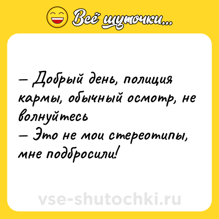 Шутка: — Добрый день, полиция кармы, обычный осмотр, не волнуйтесь <br>— Это не мои стереотипы, мне подбросили!
