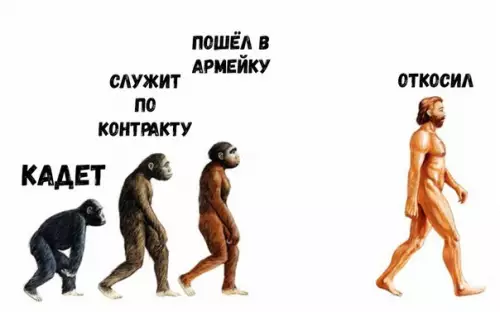 Смешная картинка №249382