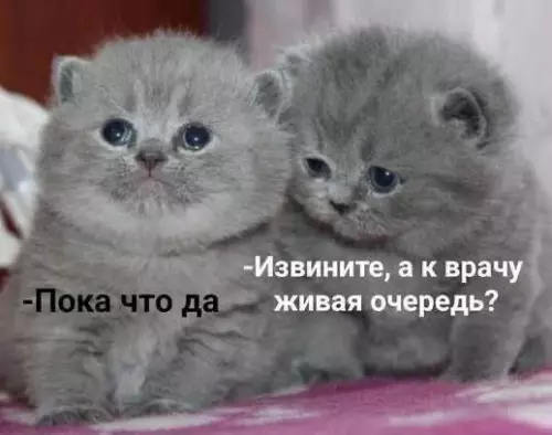 Смешная картинка №694150