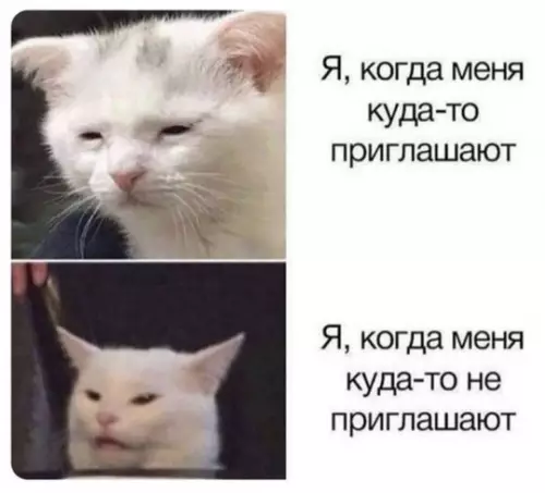 Смешная картинка №754036
