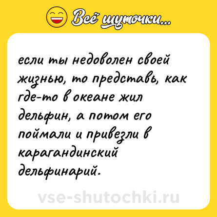Шутка: если ты недоволен своей жизнью, то представь, как где-то в океане жил дельфин, а потом его поймали и привезли в карагандинский дельфинарий.