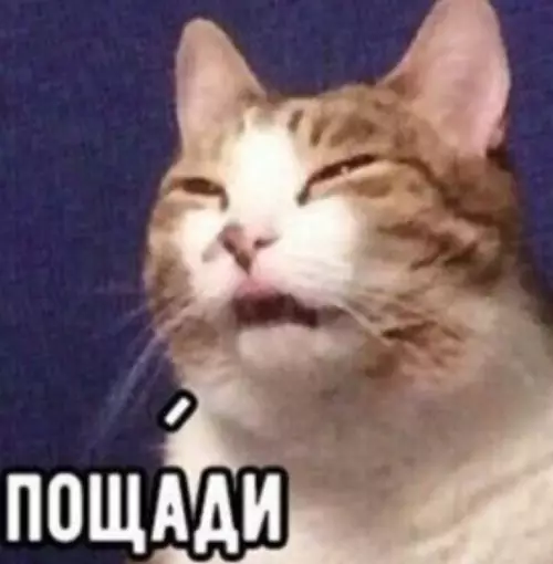 продолжение Смешная картинка №613496