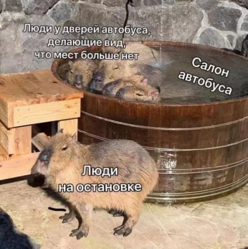 Смешная картинка №707535
