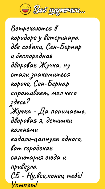 Встречаются в коридоре у ветеринара две собаки, Сен-Бернар и беспородная