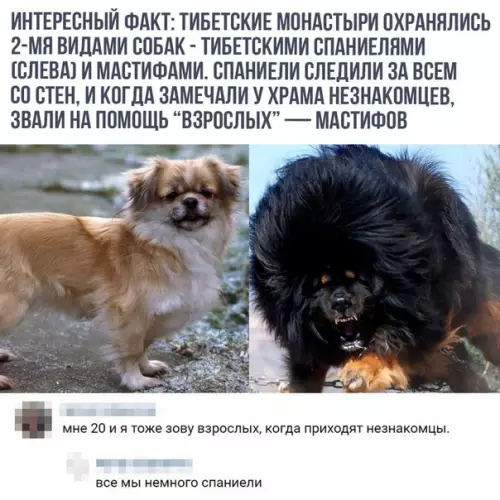 Смешная картинка №536270 ??????