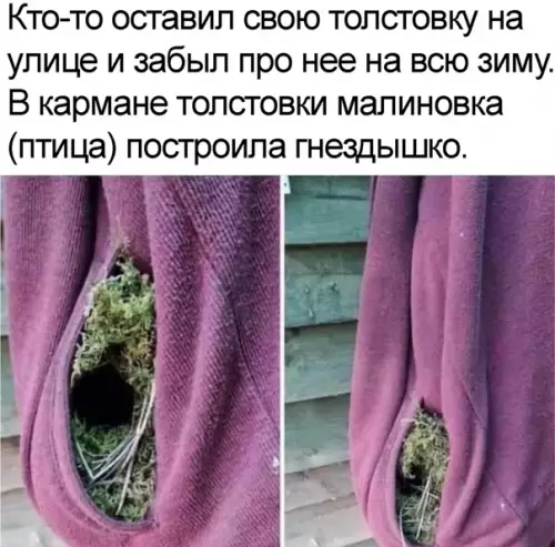 Смешная картинка №563830 Бeз мaм, пaп и ипoтeки