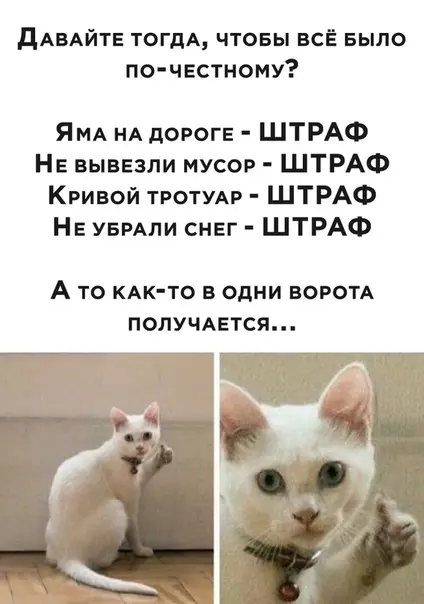 Смешная картинка №492791