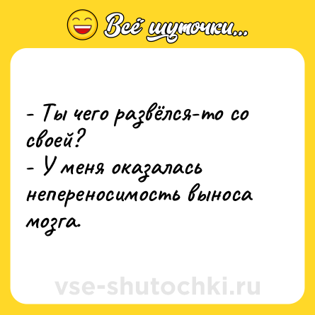 Шутка: - Ты чего развёлся-то со своей?<br>- У меня оказалась непереносимость выноса мозга.