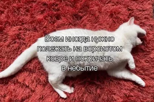 Смешная картинка №773194