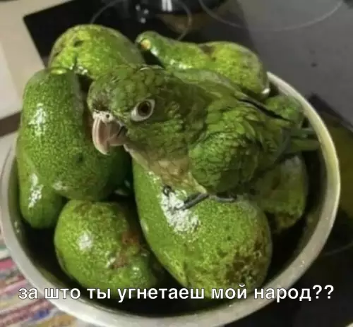Смешная картинка №650105