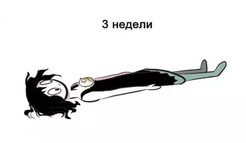 Смешная картинка №413223 Когда появился кот
