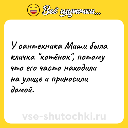 Шутка: У сантехника Миши была кличка котёнок , потому что его часто находили на улице и приносили домой.