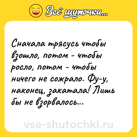 Шутка: Сначала трясусь чтобы взошло, потом - чтобы росло, потом - чтобы ничего не сожрало. Фу-у, наконец, закатала! Лишь бы не взорвалось...
