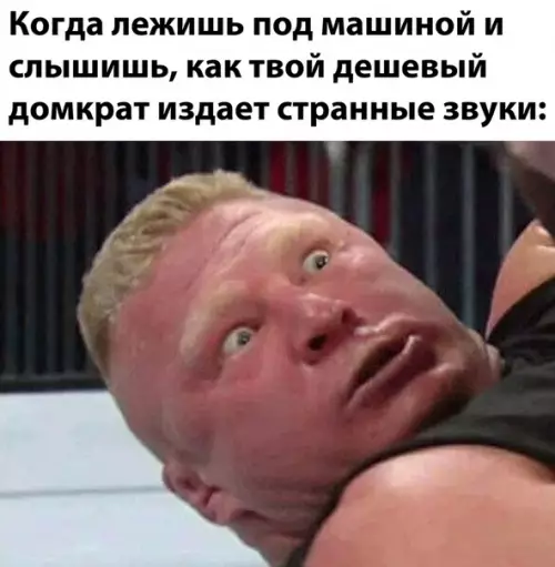 Смешная картинка №527534