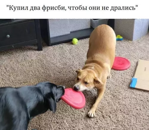 Смешная картинка №690977
