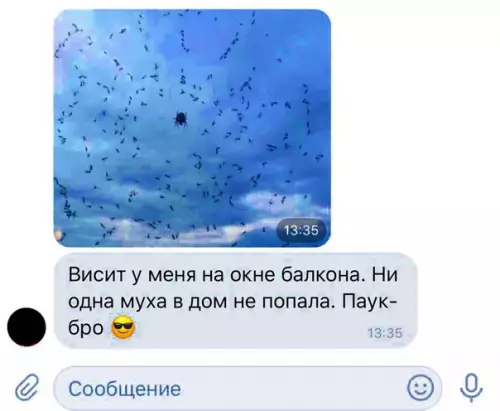 Смешная картинка №297626