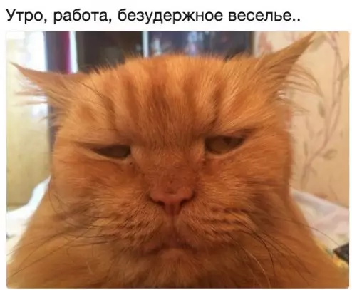 Смешная картинка №216066