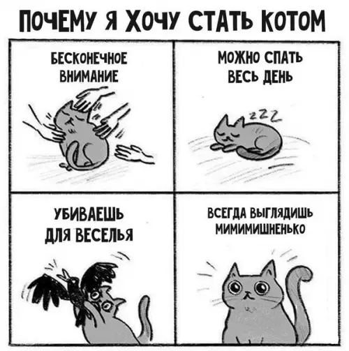 Смешная картинка №365997