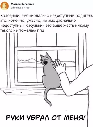 Смешная картинка №658177 коты