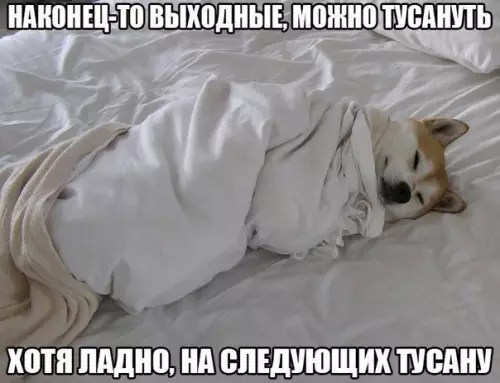 Смешная картинка №209999