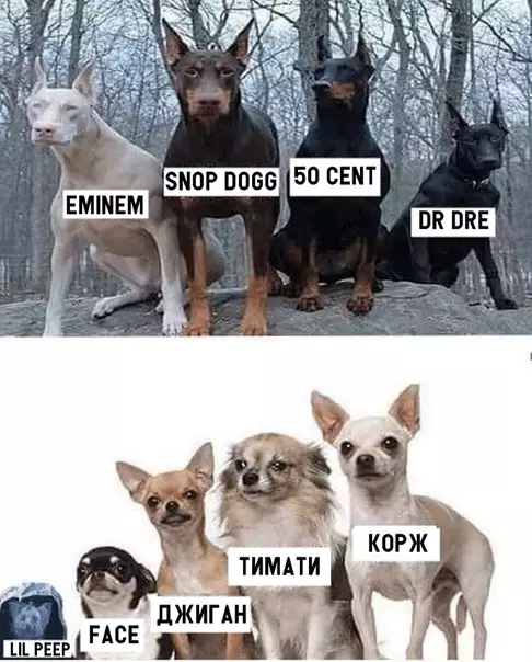 Смешная картинка №302013