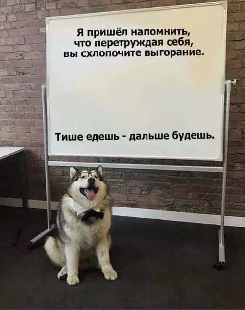 Смешная картинка №686945