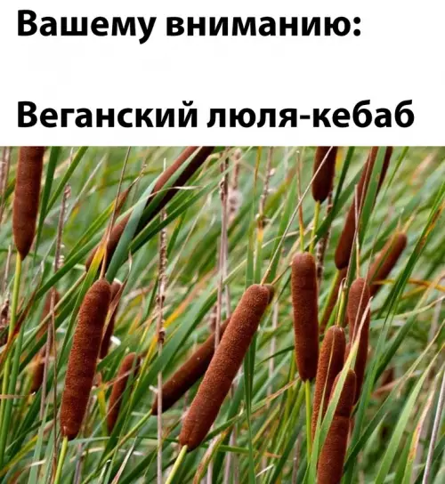 Смешная картинка №652841