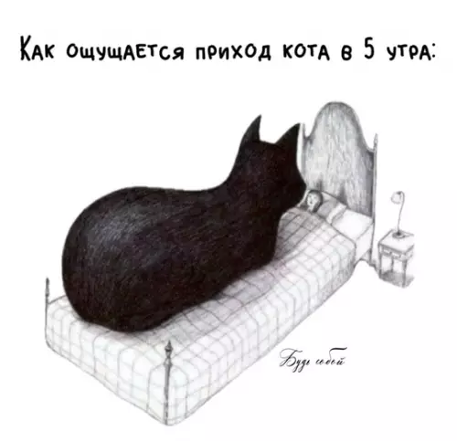 Смешная картинка №767301