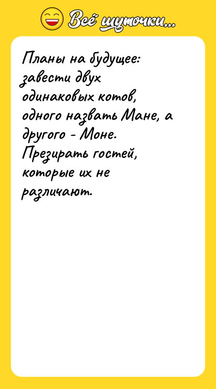 Планы на будущее: завести двух одинаковых котов, одного назвать Мане,