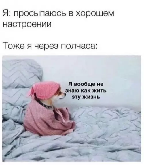 Смешная картинка №771746
