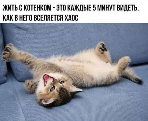 Смешная картинка №373063 С девушкой так же
